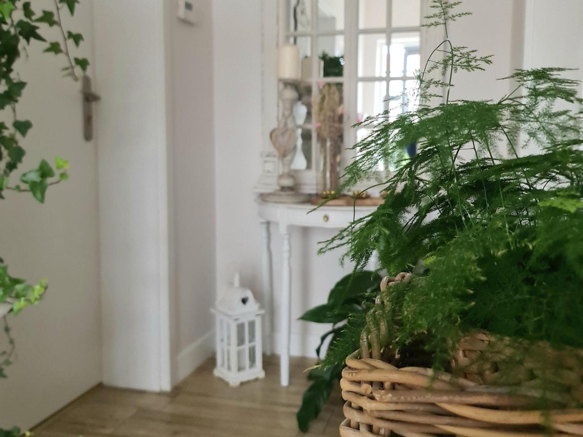 Apartamenty "La Villa" Z Klimatyzacja, Ogrodem, Parkingiem, Blisko Centrum クドヴァ・ズドゥルイ エクステリア 写真